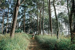 BIB: 
                            <button type="button" onclick="openModal(25657539)" class="btn btn-primary btn-sm float-right btn-popup" data-toggle="modal" data-target=".modal-high-quality">
                        <i class="fas fa-shopping-cart"></i> Add to Cart
                    </button>
                                            <button type="button" onclick="isThisMe(25657539, true)" class="btn btn-success btn-sm float-right btn-popup btn-isme hidden" data-toggle="tooltip" data-placement="bottom" title="นี่คือรูปของคุณใช่ไหม คลิกที่นี่เพื่อเอาเข้าอัลบั้ม">
                        <i class="fas fa-plus"></i> Add to album
                    </button>
                    <button type="button" onclick="isThisMe(25657539, false)" class="btn btn-warning btn-sm float-right btn-popup btn-isnotme hidden">
                        <i class="fas fa-ban"></i> Remove from album
                    </button>